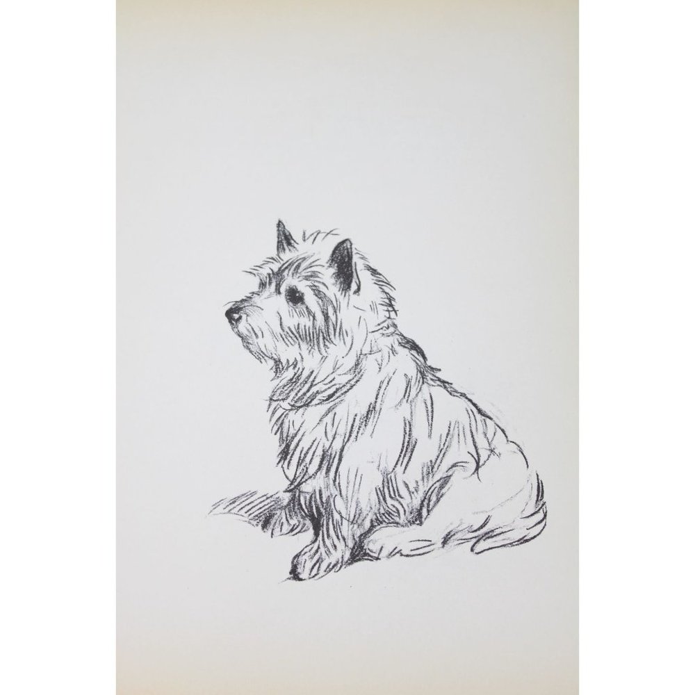 Lucy Dawson 1937 Wire Haired Terrier Dog Print Lakeland 90514 Trig
